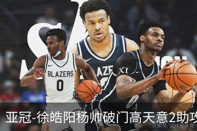 亚冠-徐皓阳杨帅破门高天意2助攻 申花2-1淡滨尼流浪者